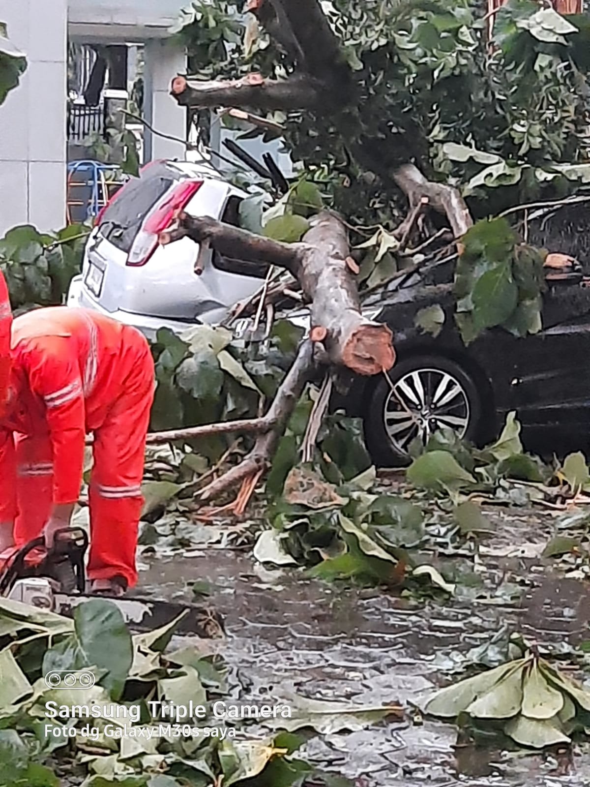 Hujan Deras Disertai Angin Kencang Mengakibatkan Pohon Tumbang dan Menimpa Kendaraan di Cibinong