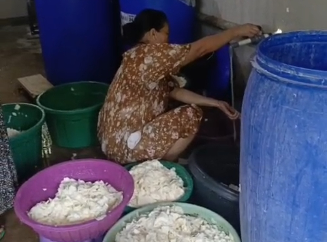 Beda Tapioka Beda Mocaf