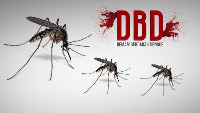 Warga Simalungun 127 Orang Terjangkit DBD Dua Bulan Terakhir