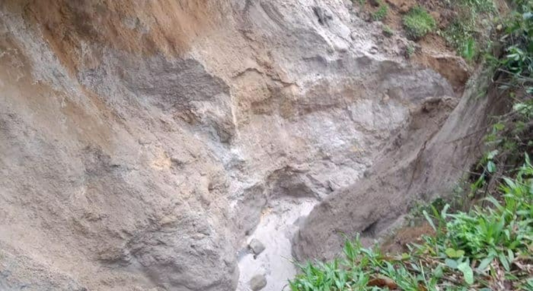 Akibat Hujan Deras Irigasi Longsor, Ketahanan Pangan 130 Hektare Sawah Terancam