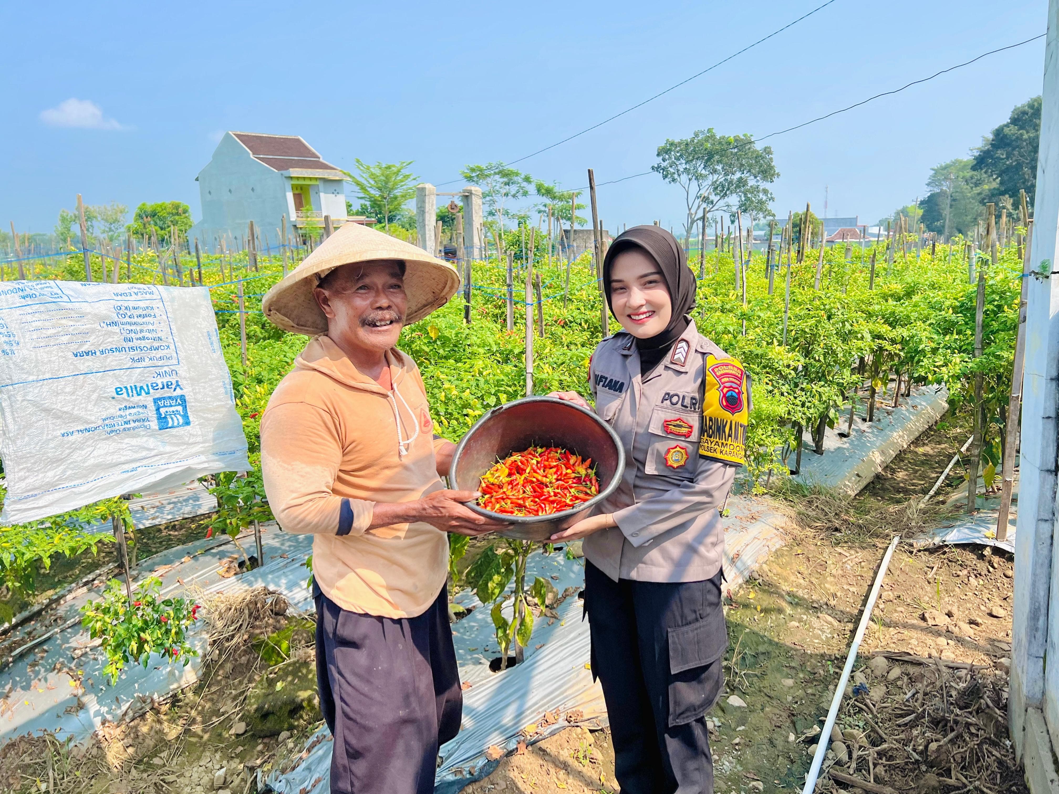 Program Saling Silang Pangan Bergizi Bhabinkamtibmas Gayamdompo Dukung Ketahanan Pangan dan Kerukunan Warga