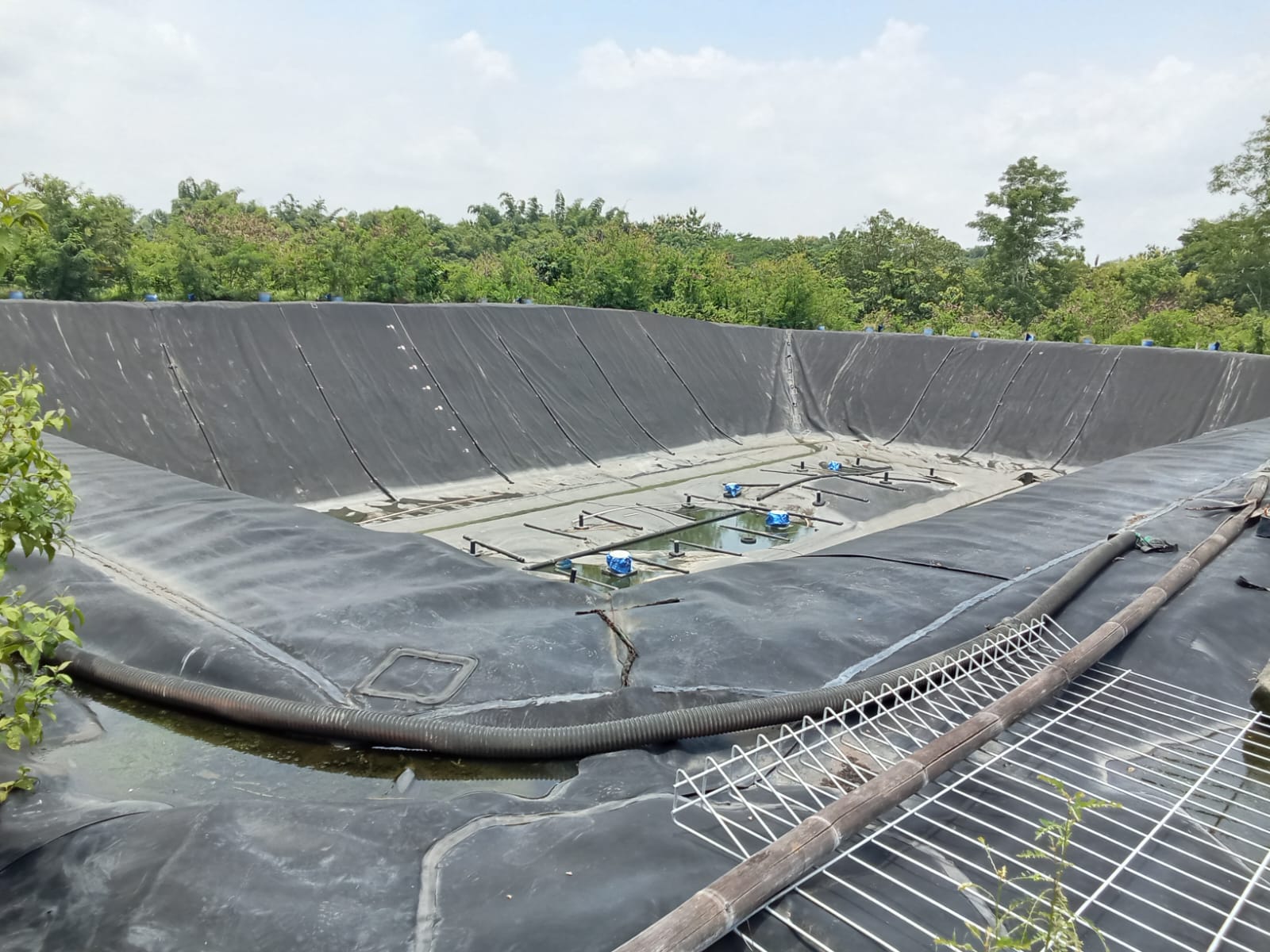 Pupuk Cair PT Cheil yang Berada di Desa Kalijirak Baunya Membuat Mual dan Muntah Warga masyarakat Sekitar