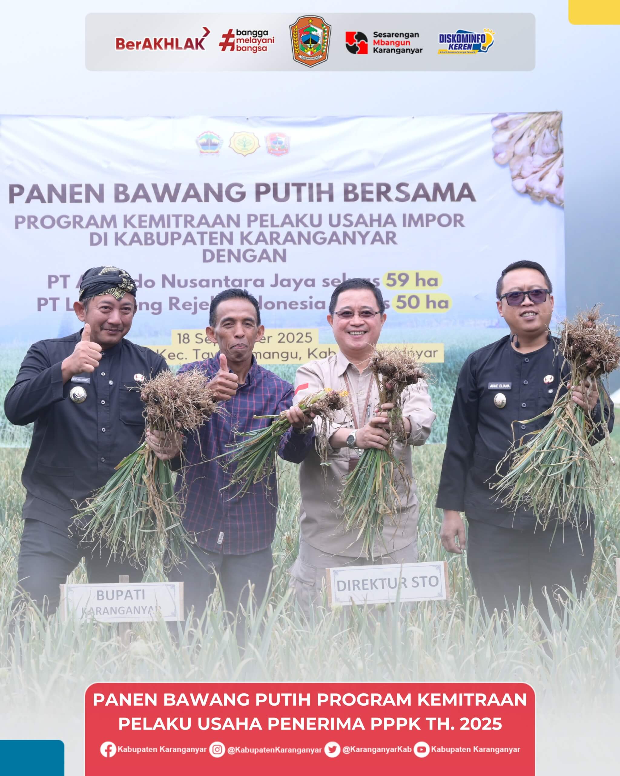 Panen Bawang Putih di Pancot Lampaui Target, Bupati Karanganyar Dampingi Dirjen Hortikultura
