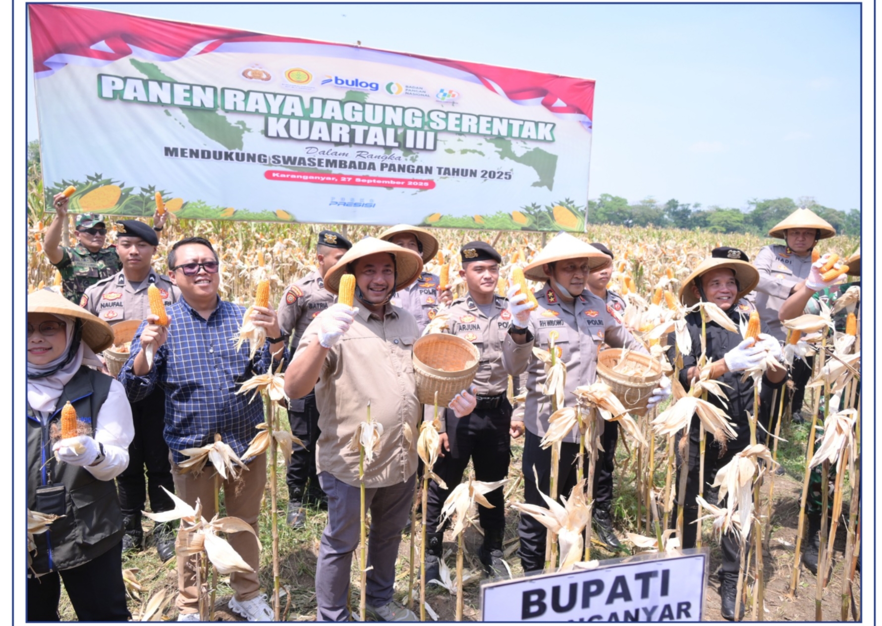 Panen Raya Jagung Serentak Kuartal III di Karanganyar Dukung Swasembada Pangan Nasional 2025