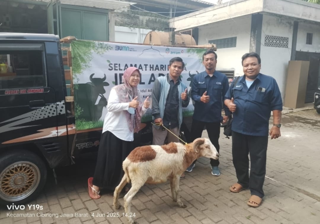 PT Antam Tbk UBPE Pongkor Salurkan 3 Sapi dan 66 Kambing Kurban di Kecamatan Nanggung dan Desa Penyangga