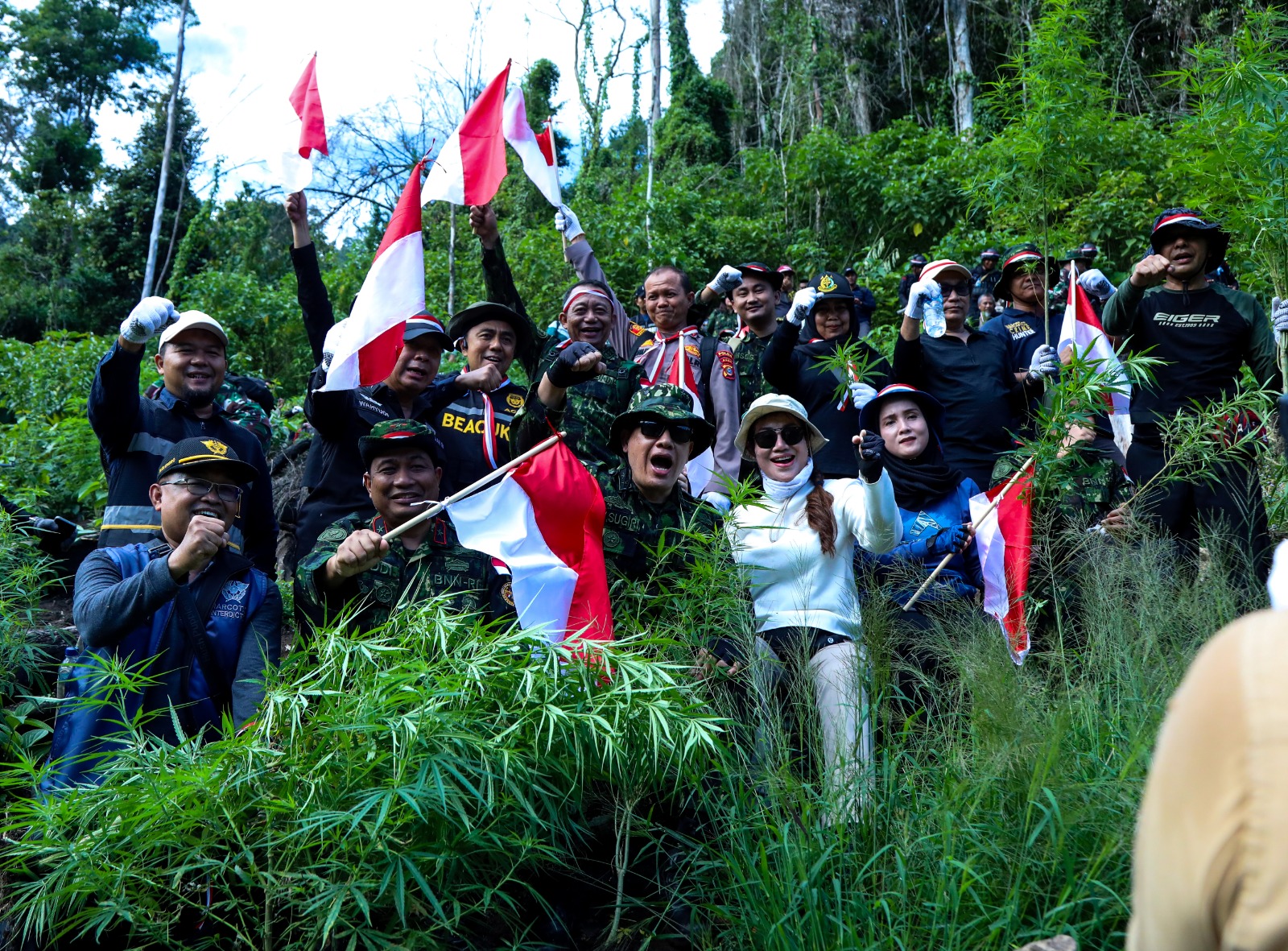 Jelang Hari Kemerdekaan RI ke 79, BNN Tunjukan Komitmen Lindungi Generasi Dengan Musnahkan Lahan Ganja