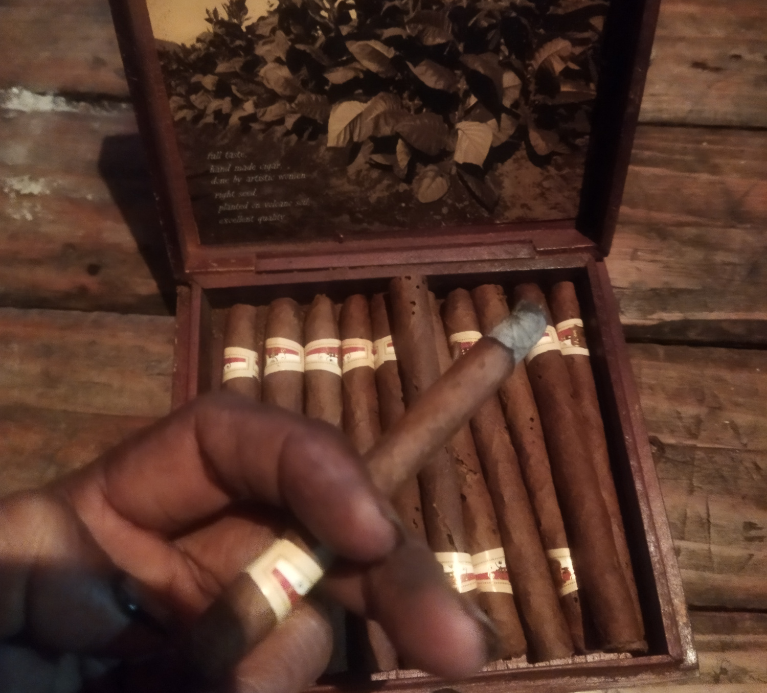 Cerutu, Simbol Kenikmatan dan Filosofi Hidup yang Klasik