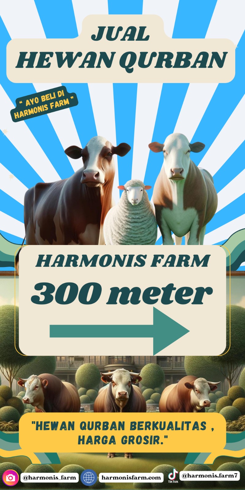 Harmonis Farm Menyediakan Hewan Qurban Dari Kambing, Domba dan Sapinya Sangat Berkualitas