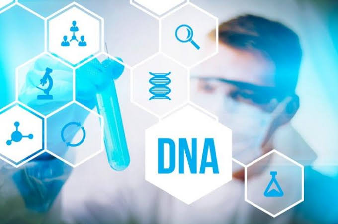 Manfaat Tes DNA Untuk Mengungkap Garis Keturunan Seseorang dan Tes DNA Dapat Mengidentifikasi Risiko Penyakit