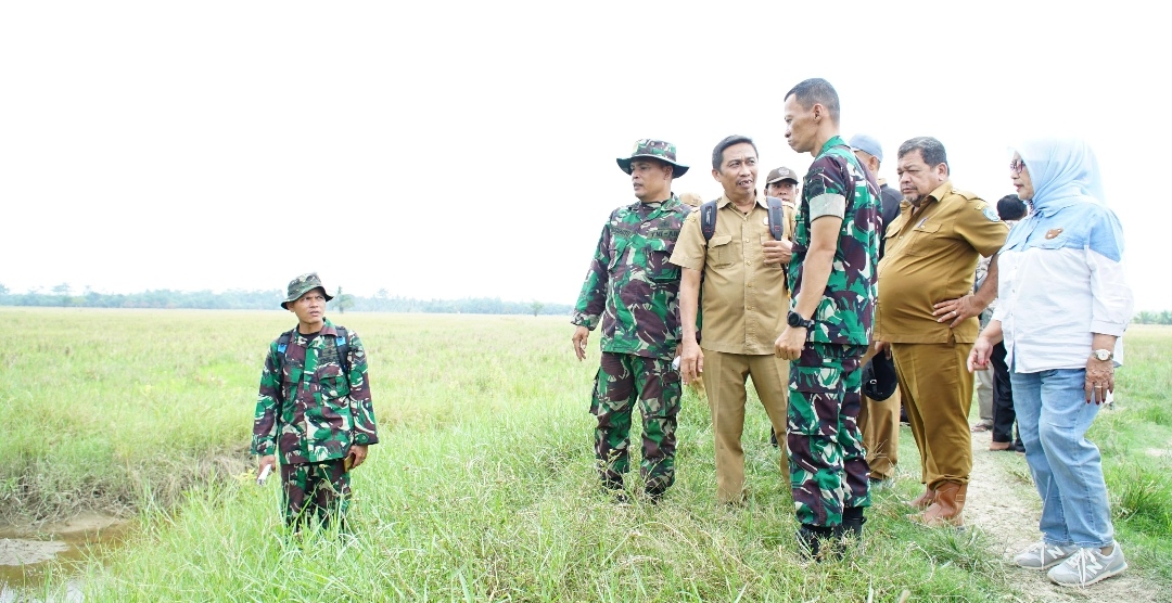 Plt. Bupati Bersama Dandim 0209/LB Tinjau Lokasi Lahan Pertanian Yang Akan Dibangun Normalisasi Irigasi 