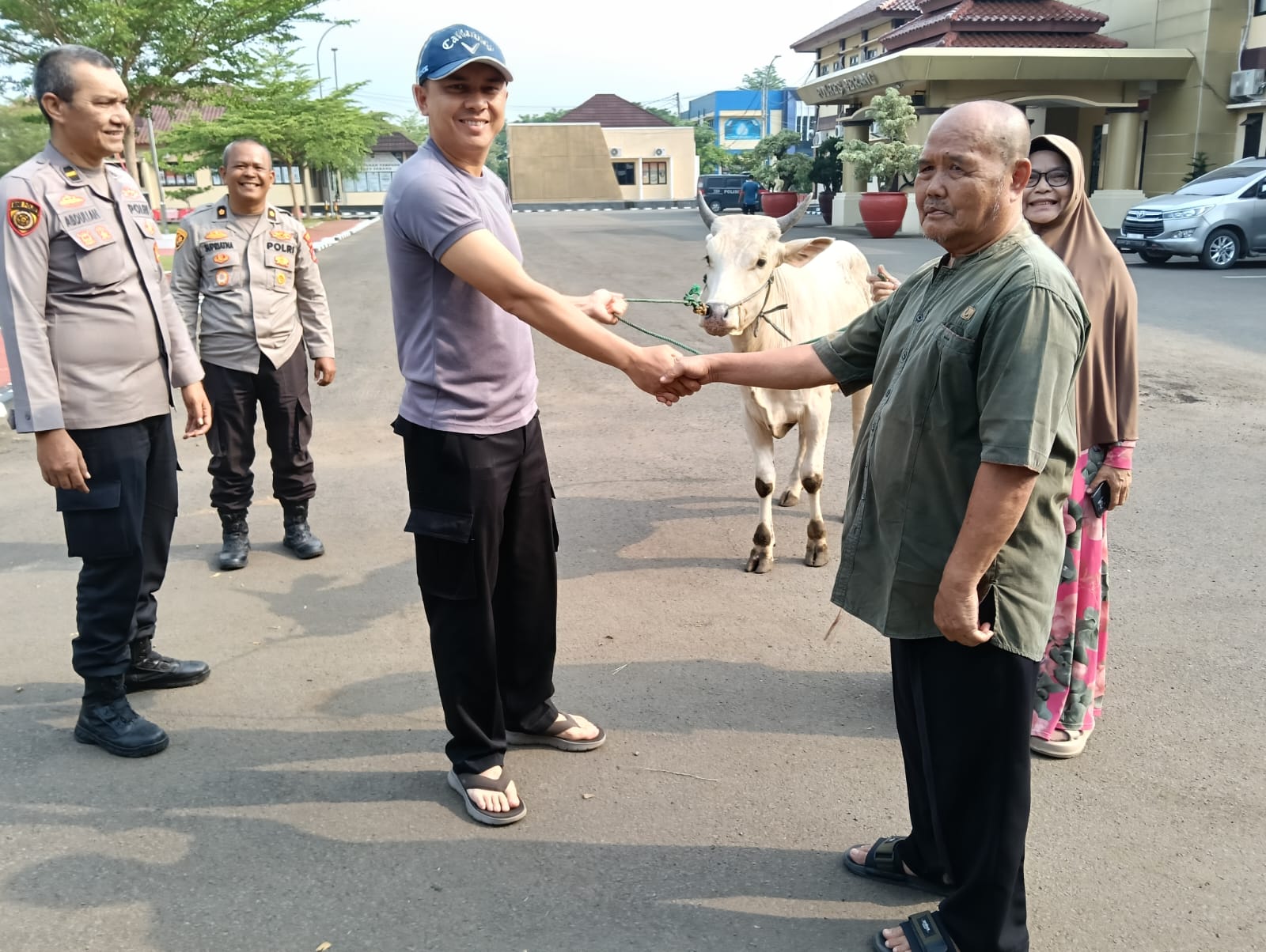 Polres Serang Salurkan Belasan Sapi dan Puluhan Kambing Kurban
