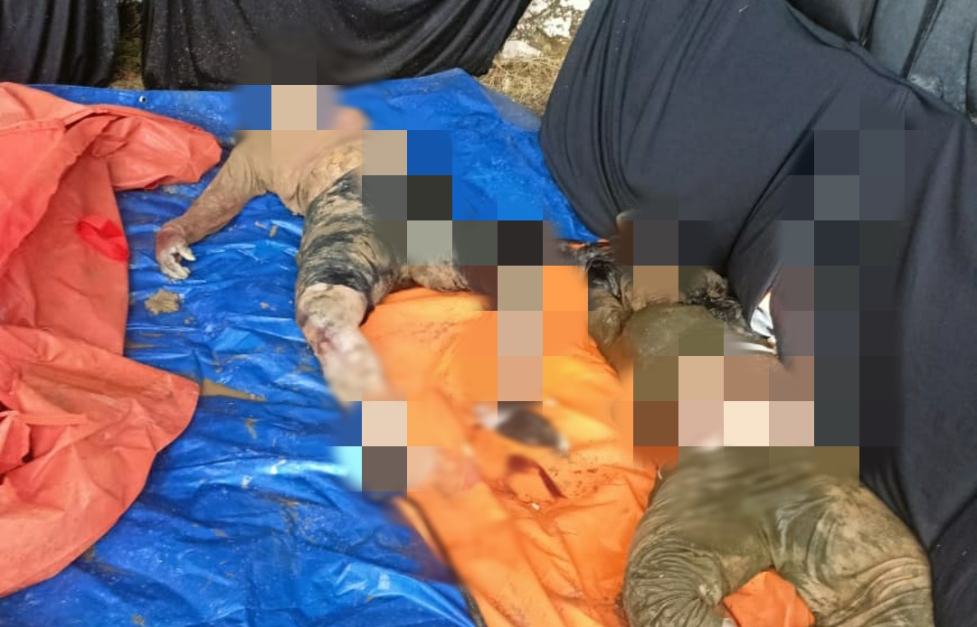 Enam Jasad Korban Tanah Longsor di Taput Berhasil Ditemukan BPBD Bersama Anggota DPRD Labuhanbatu 