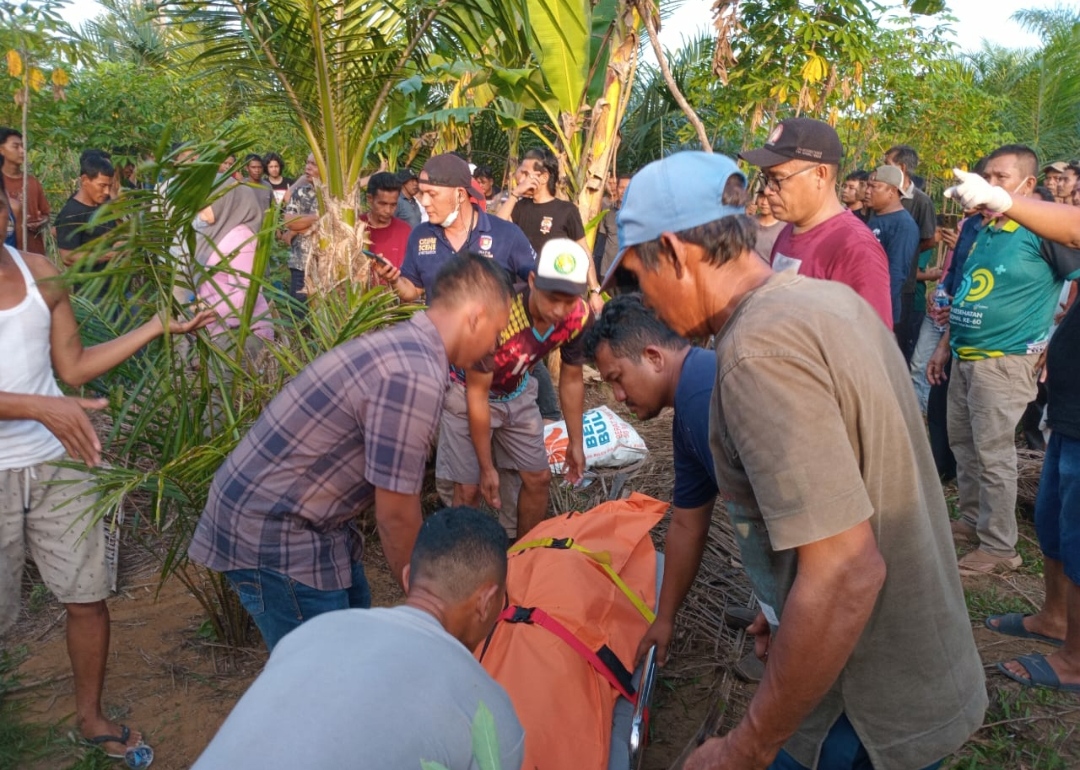 Diduga Bentrok Dengan Pencuri, Centeng Kebun Jadi Korban Pembunuhan