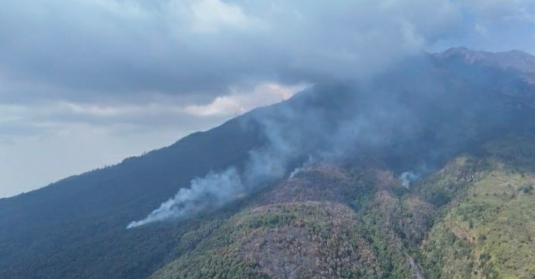 Kebakaran Hutan Gunung Lawu Meluas hingga 490 Hektare, BPBD Siapkan Empat Posko