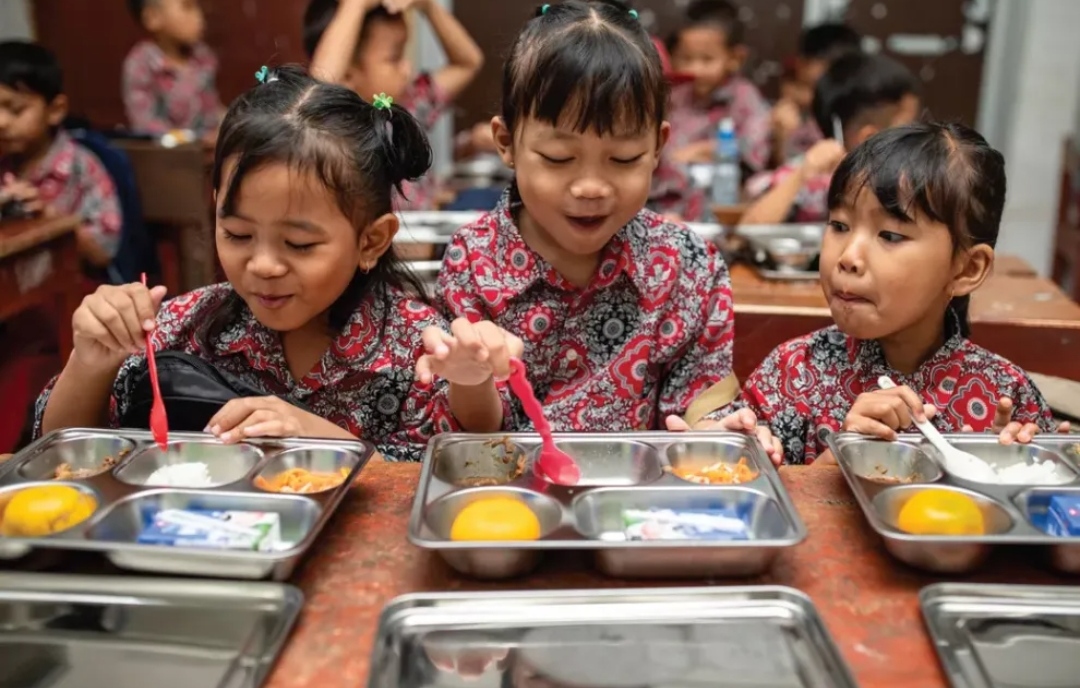 Makan Bergizi Gratis  Itu Program Atau Proyek?