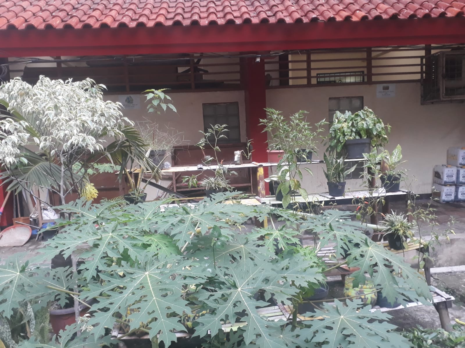 Taman SDN Kapuk 03 Pagi dan 08 Petang: Menanamkan Cinta Lingkungan Sejak Dini