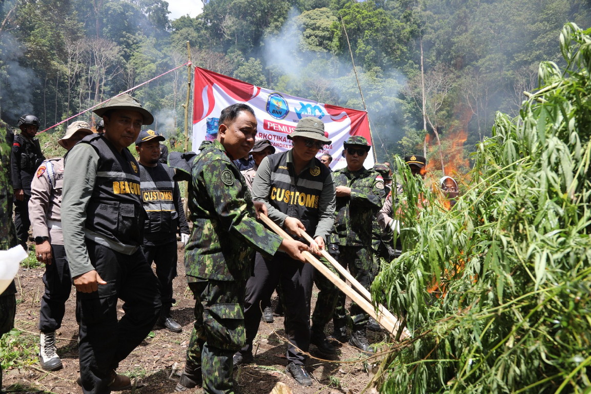 PRA HANI 2024, BNN Musnahkan Lahan Ganja di Aceh Besar