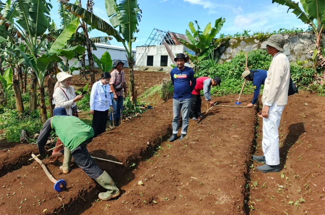 Kemitraan Strategis PT MBI dan BRMP Biogen Bogor Hadapi Krisis Benih Edamame Nasional   