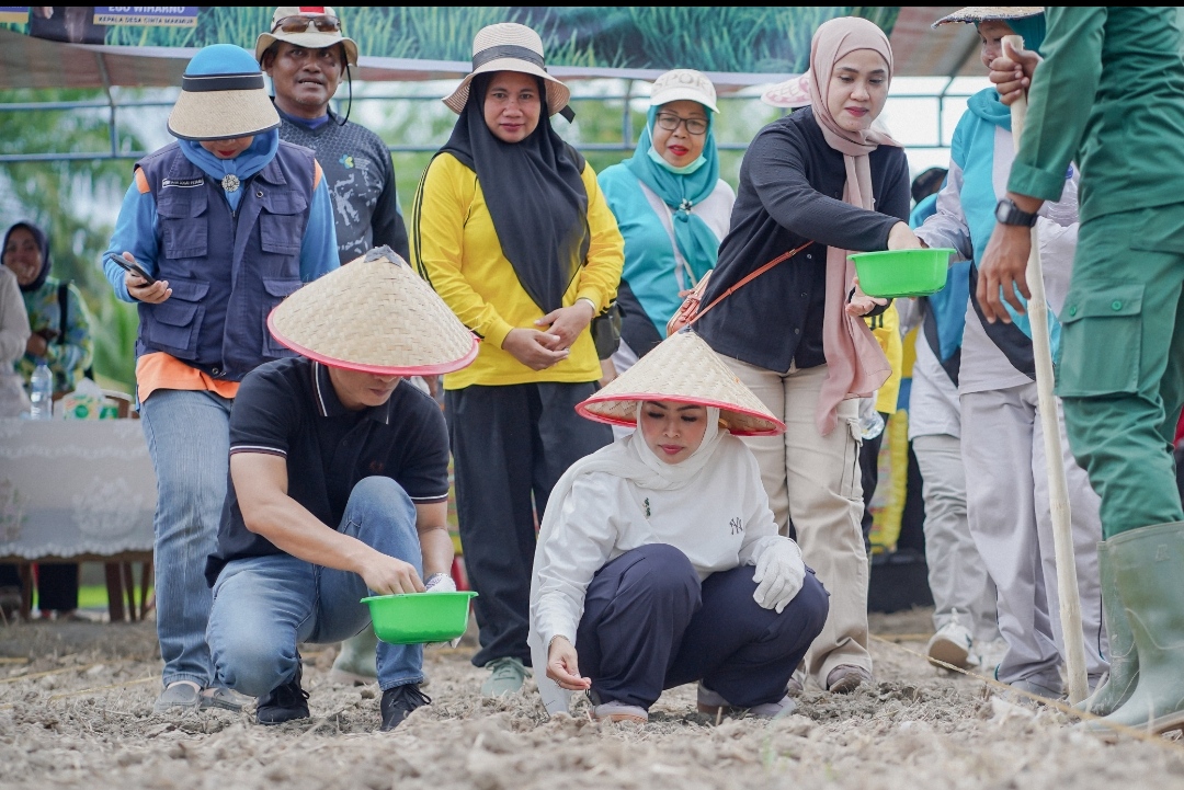 Dukung Program Ketahanan Pangan, Bupati Lakukan Penanaman Padi Darat Gogo