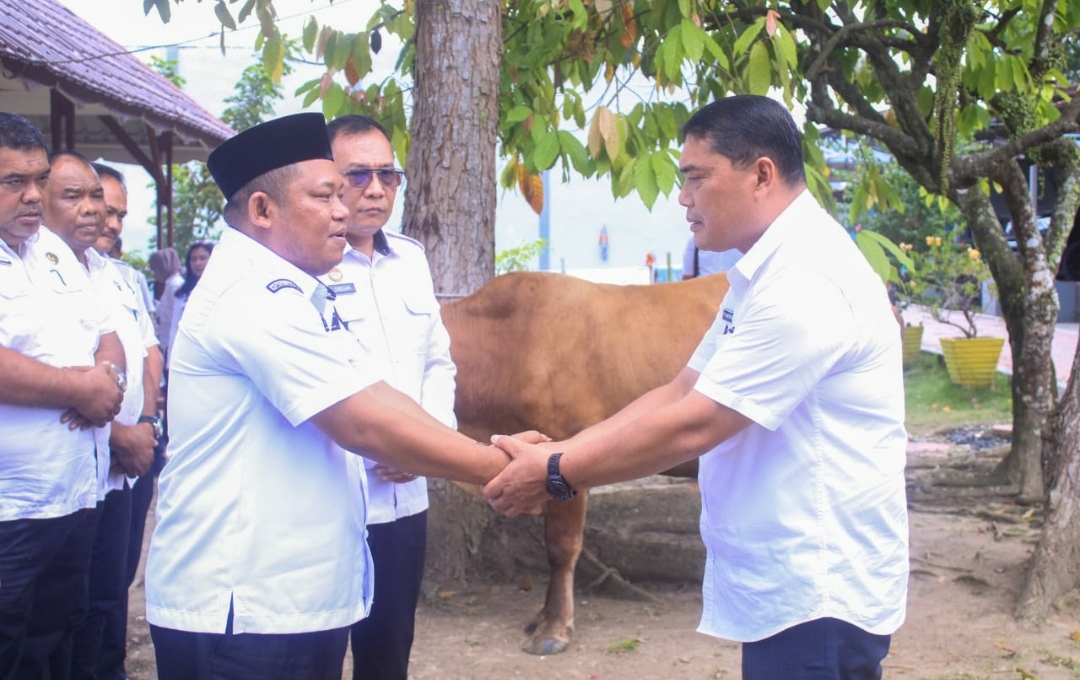 Wakil Bupati Labuhanbatu Serahkan Sapi Kurban Bantuan Gubernur Sumut Untuk Lapas Rantauprapat 