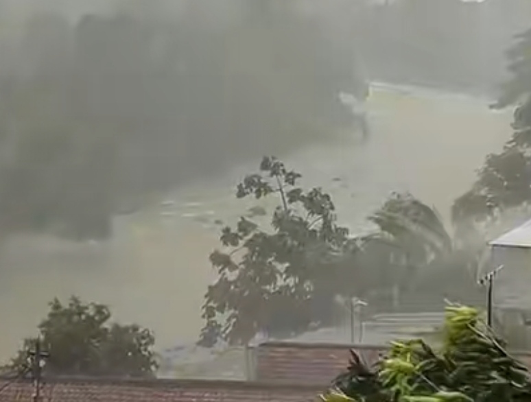  Hujan Disertai Angin Kencang Landa Kota Bogor, Warga Diimbau Tetap Waspada