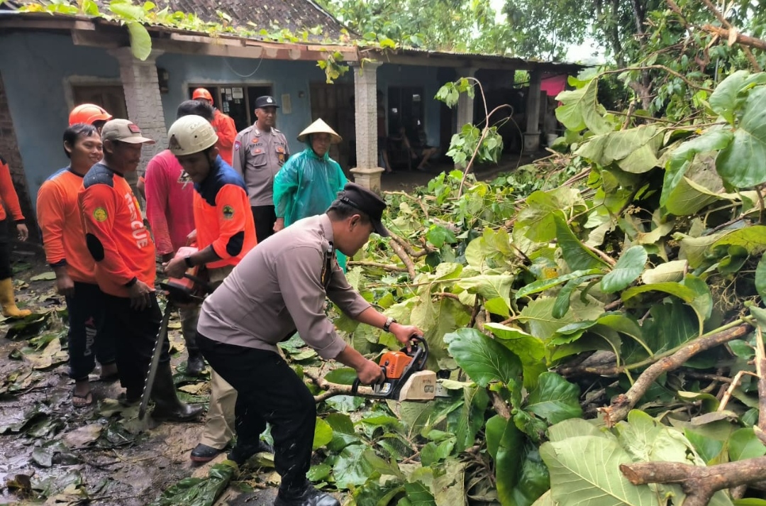 Akses Jalan Sempat Tertutup, Polisi dan Warga Evakuasi Pohon Tumbang di Kebakkramat