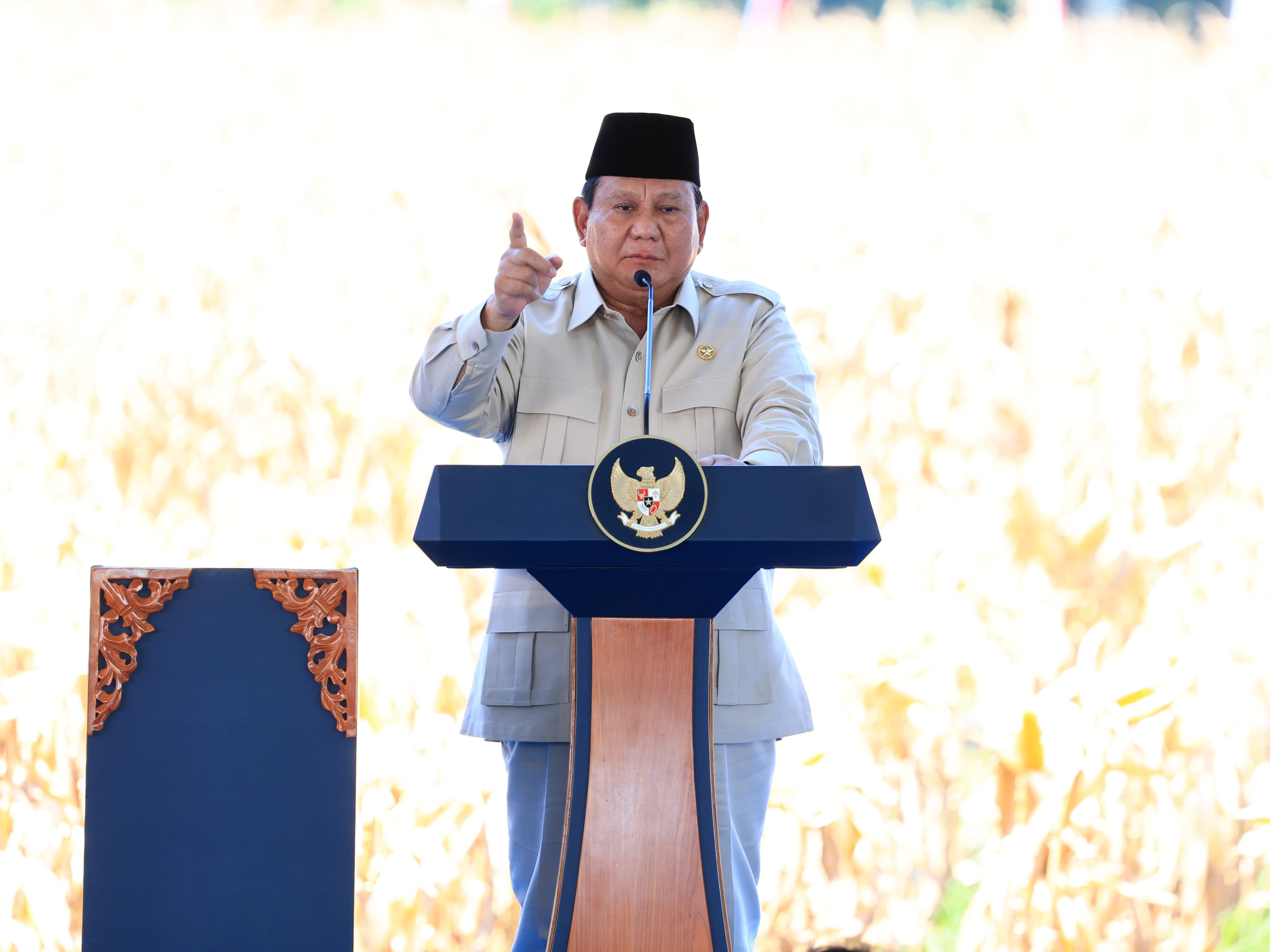 Presiden Apresiasi Peran Polri dan Koperasi dalam Panen Raya Jagung di Bengkayang