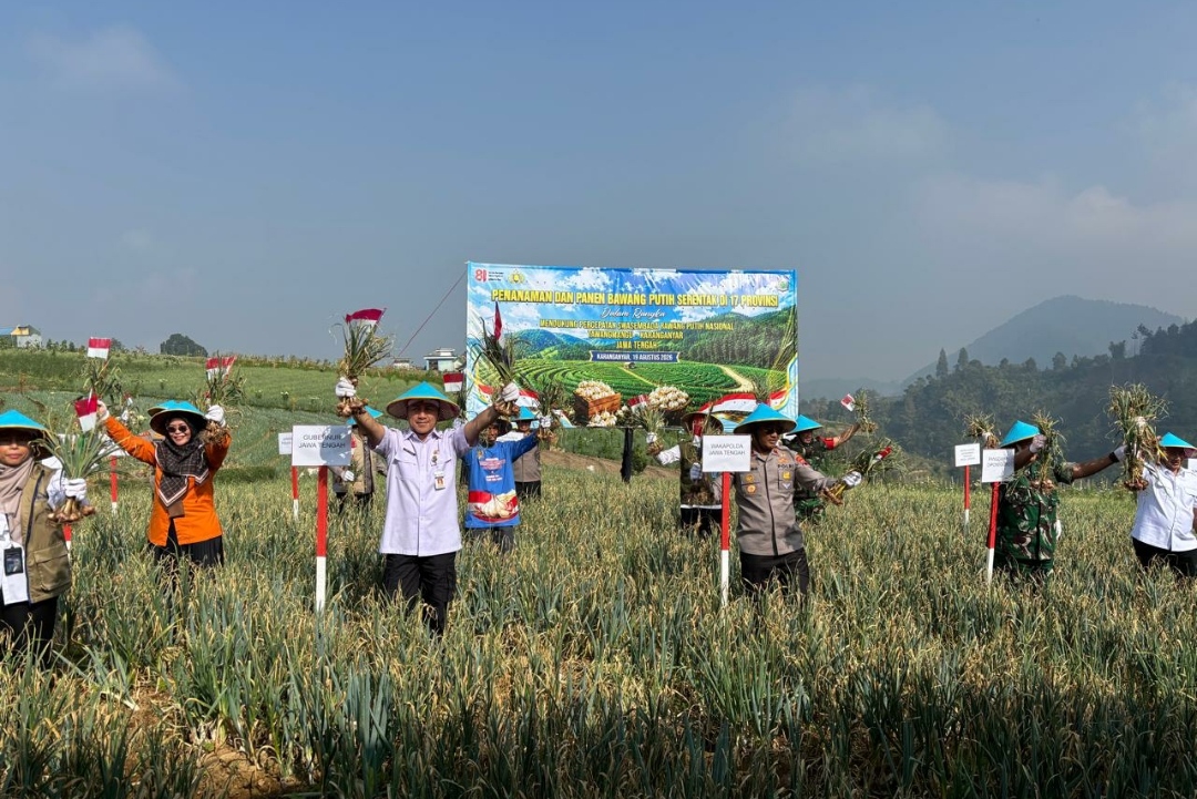 Panen Bawang Putih di Tawangmangu Tembus 1,25 Ton, Wakapolda Jateng Dorong Petani Makin Produktif