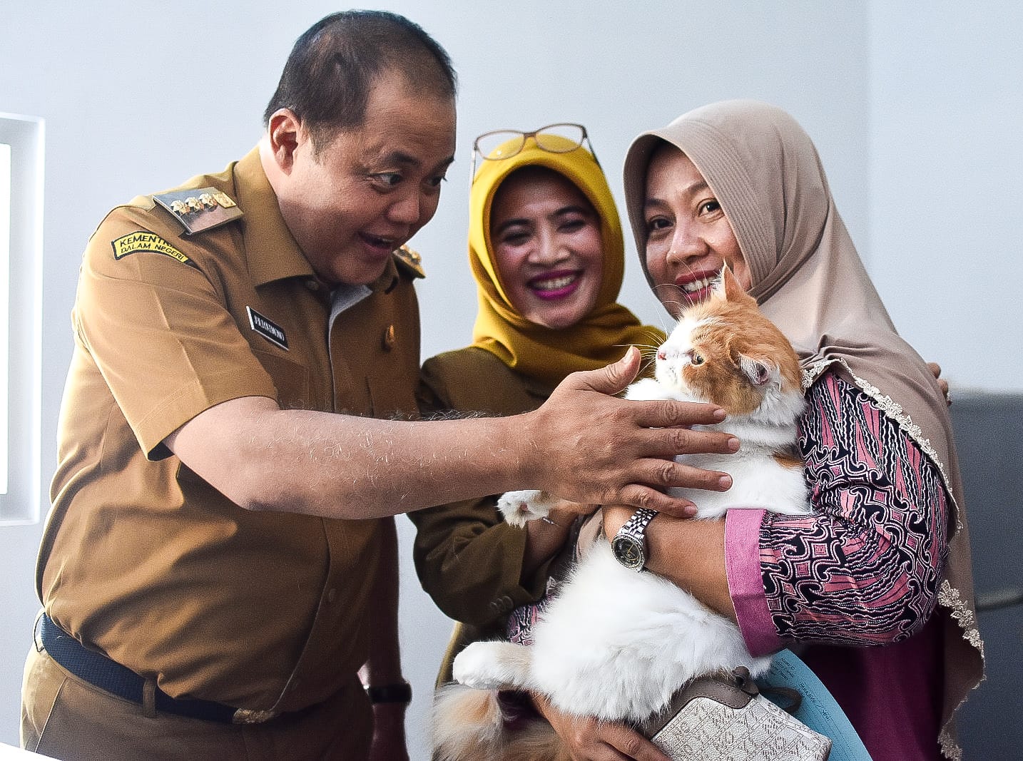 World Rabies Day, Ratusan Ekor Kucing Ikuti Vaksinasi Rabies