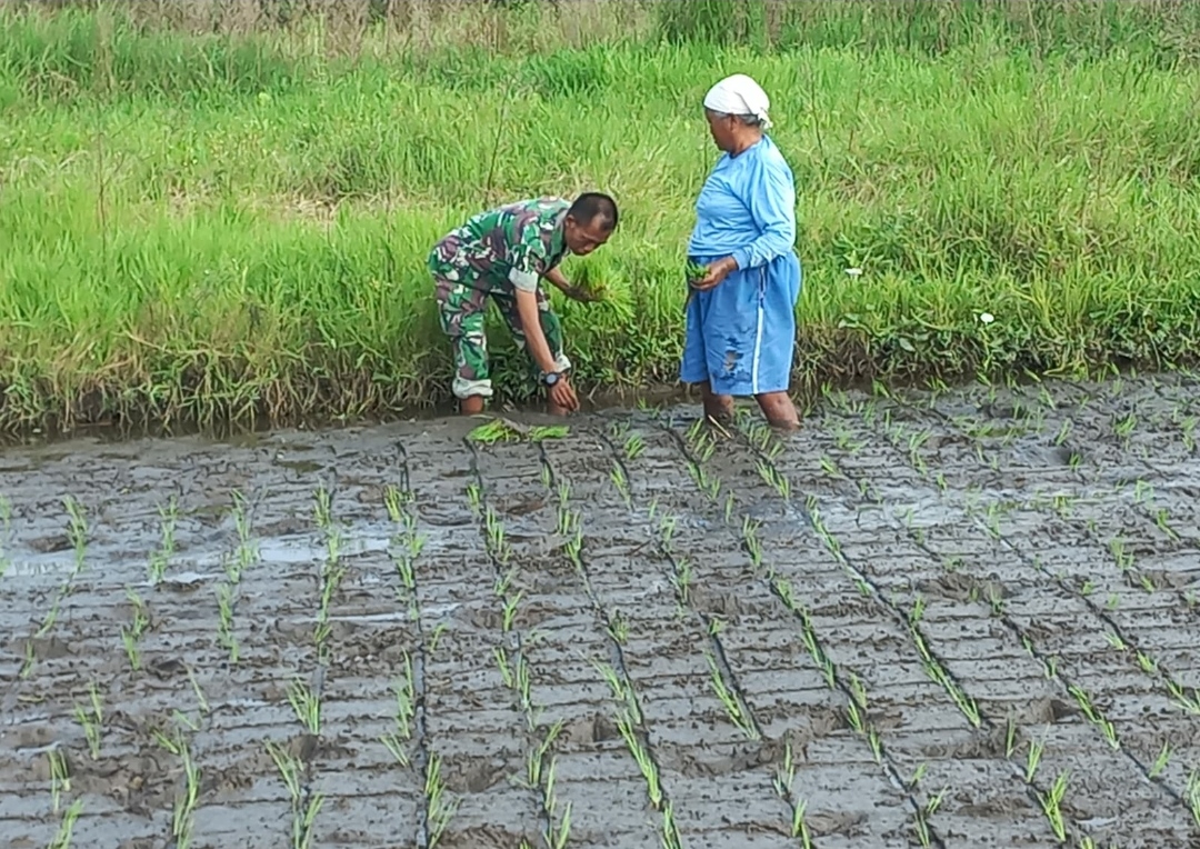 Babinsa Harus Aktif Dan Beri Kontribusi di Wilayah Binaanya