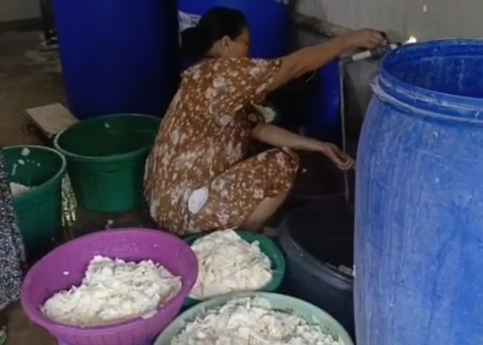 Beda Tapioka Beda Mocaf