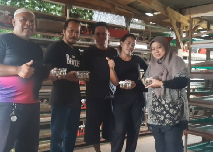 Kunjungan Silaturahmi Yayasan  PPIQaila ke Kandang Telur Puyuh di Pasir Pendey Bogor 