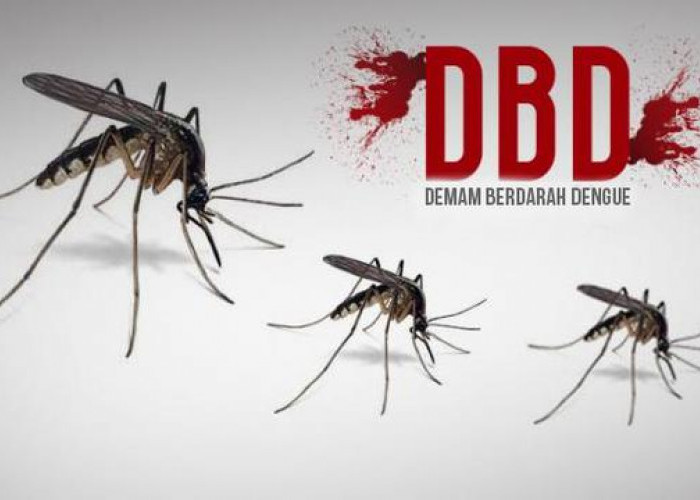 Warga Simalungun 127 Orang Terjangkit DBD Dua Bulan Terakhir