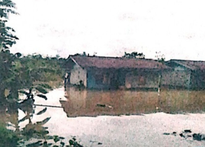 Banjir Landa Kabupaten Mimika, 495 Keluarga Terdampak