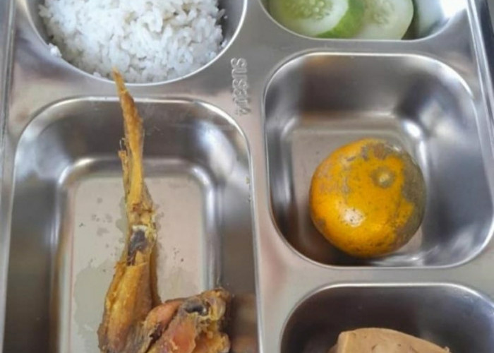 Memberi Makan Gratis Membuka Peluang Korupsi Baru dan Program Mubazir