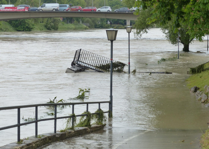 Banjir di Sumatera, Sawit vs Hutan Belantara