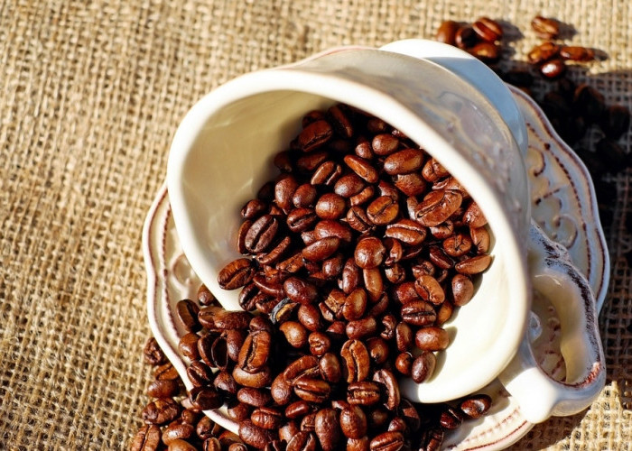 Berapa Hari Sebaiknya Mengkonsumsi Kopi? Ini Penjelasannya   