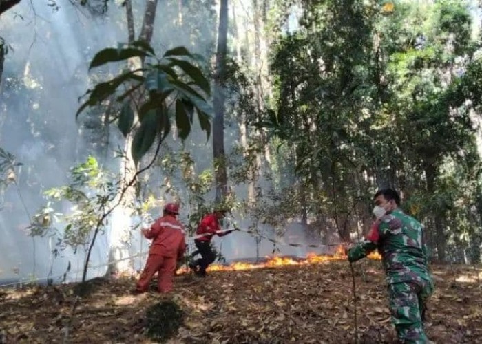 Kawasan Danau Toba Semakin Memburuk, Pengawasan Dinilai Lemah