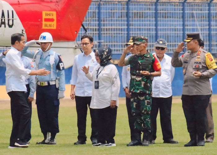 Plt. Bupati Ellya Rosa Siregar Dampingi Presiden Jokowi Tinjau Harga Pangan di Pasar Glugur Rantauprapat 