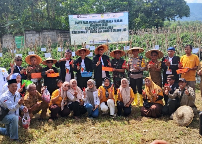 Panen Raya Cabai Merah, Kelompok Tani Garita Dapat DukunganPT. Antam UBPE Pongkor   