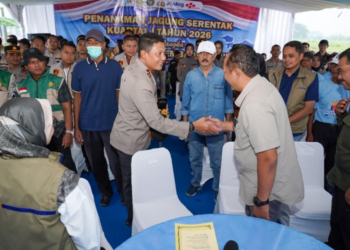 Untuk Ketahanan Pangan Kapolda Jateng Bersama Forkopimda Karanganyar Tanam Jagung Serentak Kuartal 1 2026 