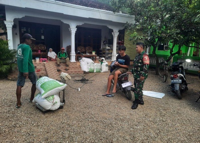 TNI Terus Kawal Serapan Gabah di Pacitan