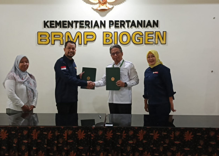 PT MBI Gandeng BRMP Biogen Bogor Dorong Produktivitas Edamame Lewat Bibit Unggul