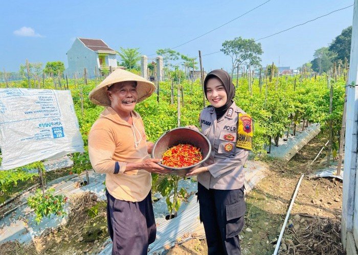 Dari Pekarangan untuk Negeri; Kiprah Polwan Bhabinkamtibmas dalam Asta Cita Ketahanan Pangan