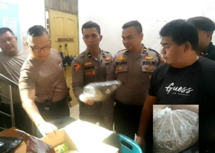 Pengiriman 1 Kg Ganja Digagalkan Samapta Polres Sian?ar