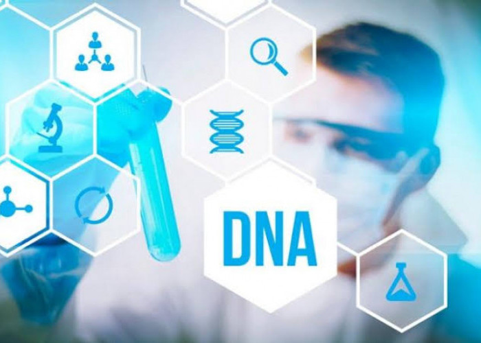 Manfaat Tes DNA Untuk Mengungkap Garis Keturunan Seseorang dan Tes DNA Dapat Mengidentifikasi Risiko Penyakit
