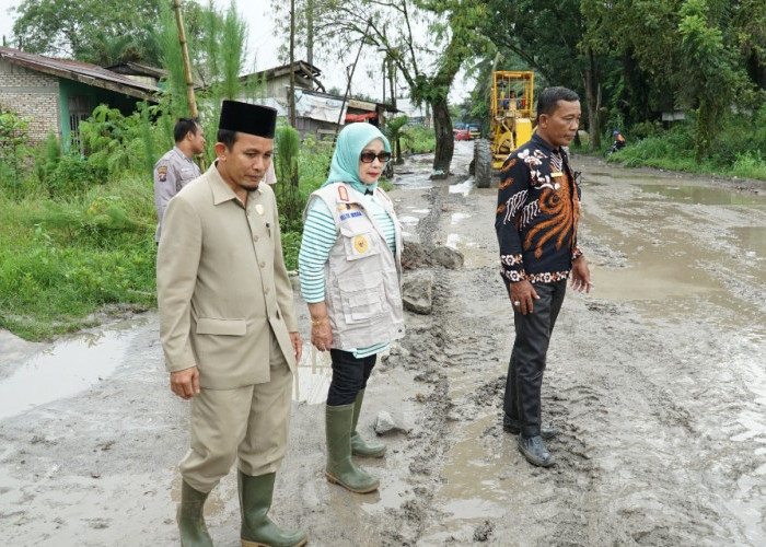 Wabup Labuhanbatu Tinjau Jalan Rusak di Pangkatan