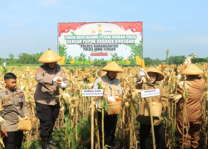 Panen Raya Jagung Petani Binaan Polri di Karanganyar, Wujud Nyata Dukungan Ketahanan Pangan