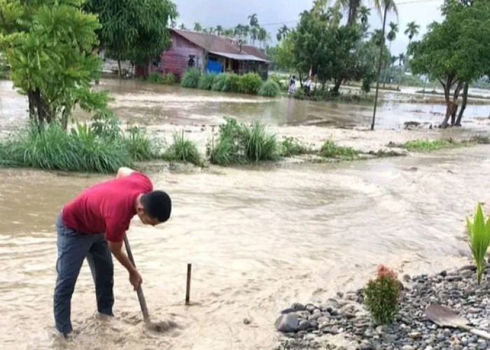 Banjir Rendam Puluhan Rumah Warga dan Persawahan di 6 Kecamatan di Aceh Tenggara
