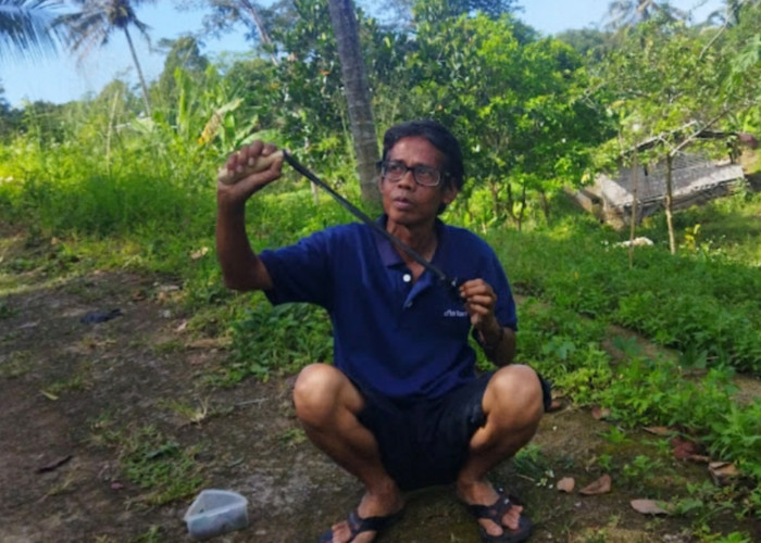 Kapan Masyarakat Indonesia Mengenal Ketapel?